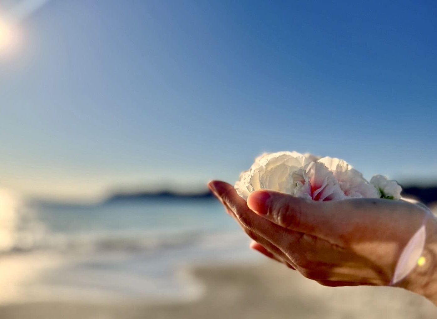 花を手のひらで包み込み空へ挙げる